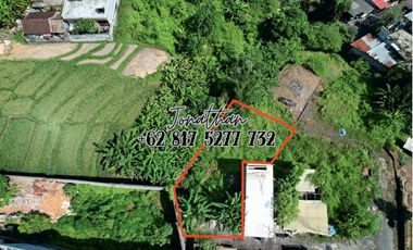 Tanah Murah 2,5 Are di Buduk Dekat Canggu Bisa Nego