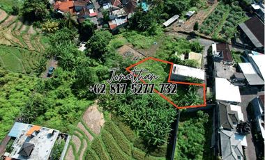 Tanah Murah 2,5 Are di Buduk Dekat Canggu Bisa Nego