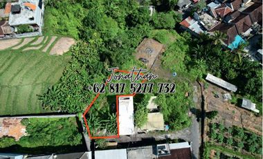 Tanah Murah 2,5 Are di Buduk Dekat Canggu Bisa Nego