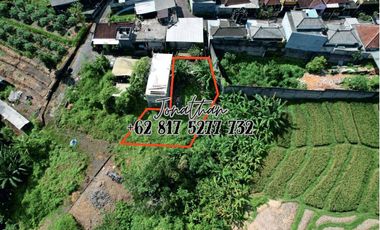 Tanah Murah 2,5 Are di Buduk Dekat Canggu Bisa Nego