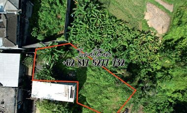 Tanah Murah 2,5 Are di Buduk Dekat Canggu Bisa Nego