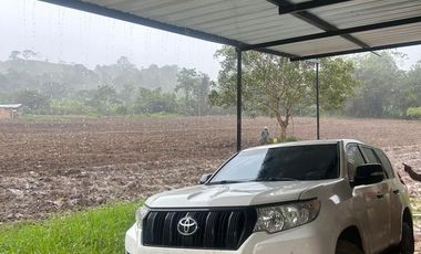 VENDO EXCELENTE FINCA CAFETERA DE 14.500 m2 EN VEREDA LA HOLANDA, PITALITO, HUILA