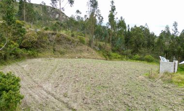 Terreno en Venta en Llacao