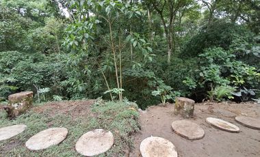 Arriendo apartamento