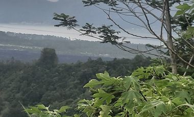 PRIME LAND FOR SALE ICONIC VIEW KINTAMANI