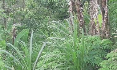 PRIME LAND FOR SALE ICONIC VIEW KINTAMANI