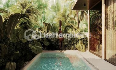 Practical Investment in One of Bali’s Most Established Areas