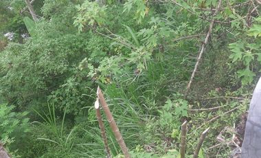 PREMIUM LAND FOR SALE ICONIC KINTAMANI VIEW MAIN ROAD ACCESS