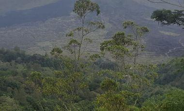 PREMIUM LAND FOR SALE ICONIC KINTAMANI VIEW MAIN ROAD ACCESS