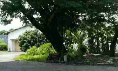 gudang sewa murah sebrang transicon Jl.A yani surabaya