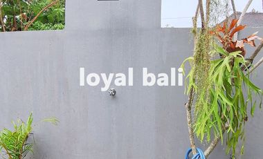 Villa, Brand New Tropical Villa in Ubud, Bali