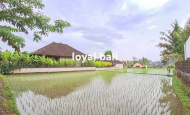 Villa, Brand New Tropical Villa in Ubud, Bali