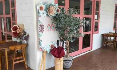 komersial utk profil bisnis matang! raya kembar citraland nol jalan