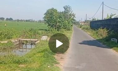 Dijual peternakan aktif ayam petelur nol jalan lebar Gudo, Jombang