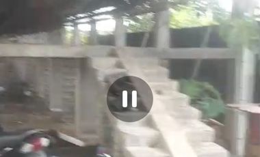 Dijual peternakan aktif ayam petelur nol jalan lebar Gudo, Jombang