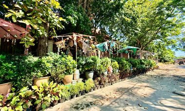 Traditional Thai-style house for rent by the Chao Phraya River, Mueang District, Ayutthaya.