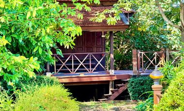 Traditional Thai-style house for rent by the Chao Phraya River, Mueang District, Ayutthaya.