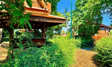 Traditional Thai-style house for rent by the Chao Phraya River, Mueang District, Ayutthaya.