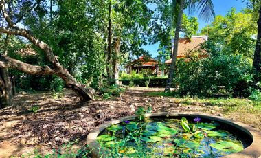 Traditional Thai-style house for rent by the Chao Phraya River, Mueang District, Ayutthaya.