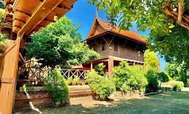 Traditional Thai-style house for rent by the Chao Phraya River, Mueang District, Ayutthaya.