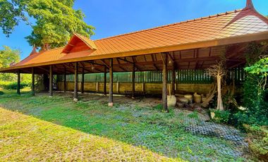 Traditional Thai-style house for rent by the Chao Phraya River, Mueang District, Ayutthaya.