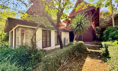 Traditional Thai-style house for rent by the Chao Phraya River, Mueang District, Ayutthaya.