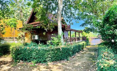Traditional Thai-style house for rent by the Chao Phraya River, Mueang District, Ayutthaya.