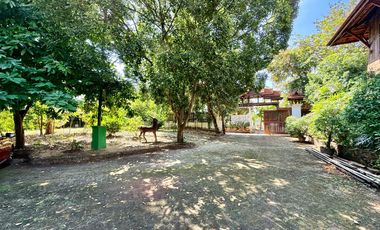 Traditional Thai-style house for rent by the Chao Phraya River, Mueang District, Ayutthaya.