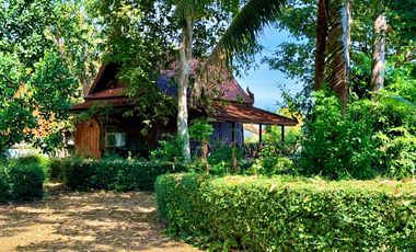 Traditional Thai-style house for rent by the Chao Phraya River, Mueang District, Ayutthaya.