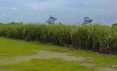 jual murah tanah bagus untuk usaha pabrik ,gudang ,kantor ,toko galangan  d kota Jombang