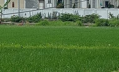 Tanah dijual di Banaran, Lamongan, Jawa Timur