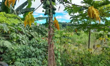 MOUNTAIN VIEW VACANT LOT IN ANTIPOLO | 737 SQM | NET ₱9,435,000