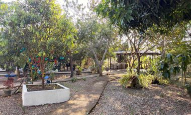 SE VENDE FINCA VÍA YOPITOS- YOPAL CASANARE