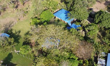SE VENDE FINCA VÍA YOPITOS- YOPAL CASANARE
