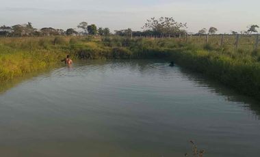 SE VENDE FINCA VÍA YOPITOS- YOPAL CASANARE