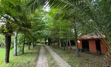 Parcela 3 Hás c/ Casa Estilo Inglés, Ruta a Termas de Chillán.