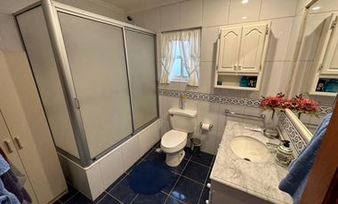 Parcela 3 Hás c/ Casa Estilo Inglés, Ruta a Termas de Chillán.