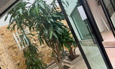 Hermosa casa con mucha luz, naturaleza y espacio, a dos calles  de la escuela  green oaks.