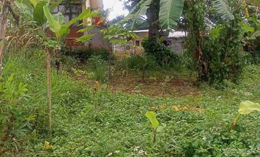 Tanah dijual di Gadobangkong, Bandung Barat