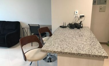Suite Amoblada en Alquiler en Pacific Plaza,1Habitación,1Baño, Seguridad, Piscina