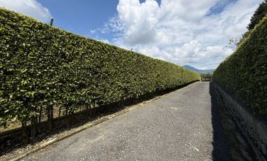 SE ARRIENDA CASA CAMPESTRE BIFAMILIAR SOBRE LA VIA CONDINA.