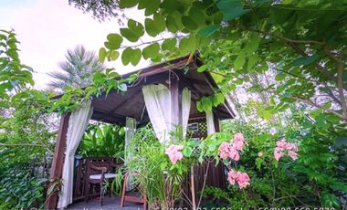 For sale: 5 Bedrooms at AmbHouse Hua Hin 88 ✨