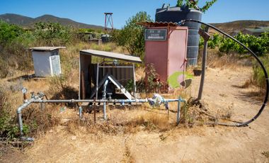 Venta de parcela de 2 has, casa, cabaña, agua de pozo, electricidad y piscina. Las Barrancas, Coquimbo. $160 mm