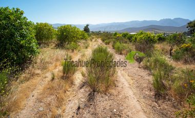 Venta de parcela de 2 has, casa, cabaña, agua de pozo, electricidad y piscina. Las Barrancas, Coquimbo. $160 mm