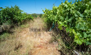 Venta de parcela de 2 has, casa, cabaña, agua de pozo, electricidad y piscina. Las Barrancas, Coquimbo. $160 mm