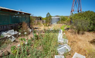 Venta de parcela de 2 has, casa, cabaña, agua de pozo, electricidad y piscina. Las Barrancas, Coquimbo. $160 mm