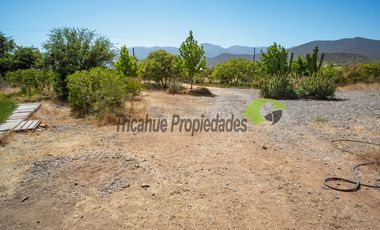 Venta de parcela de 2 has, casa, cabaña, agua de pozo, electricidad y piscina. Las Barrancas, Coquimbo. $160 mm