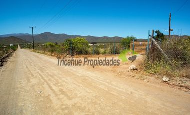 Venta de parcela de 2 has, casa, cabaña, agua de pozo, electricidad y piscina. Las Barrancas, Coquimbo. $160 mm