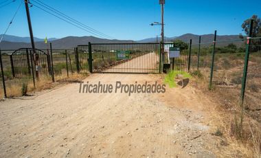 Venta de parcela de 2 has, casa, cabaña, agua de pozo, electricidad y piscina. Las Barrancas, Coquimbo. $160 mm