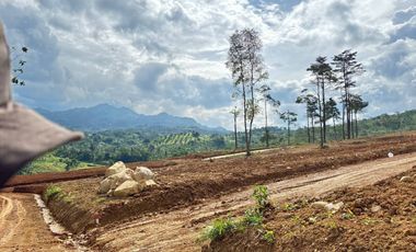 JUAL TANAH KAVLING MURAH DI PUNCAK DUA BOGOR TIMUR